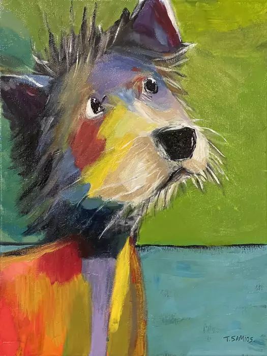 Colourful Dog by Tracey Samios