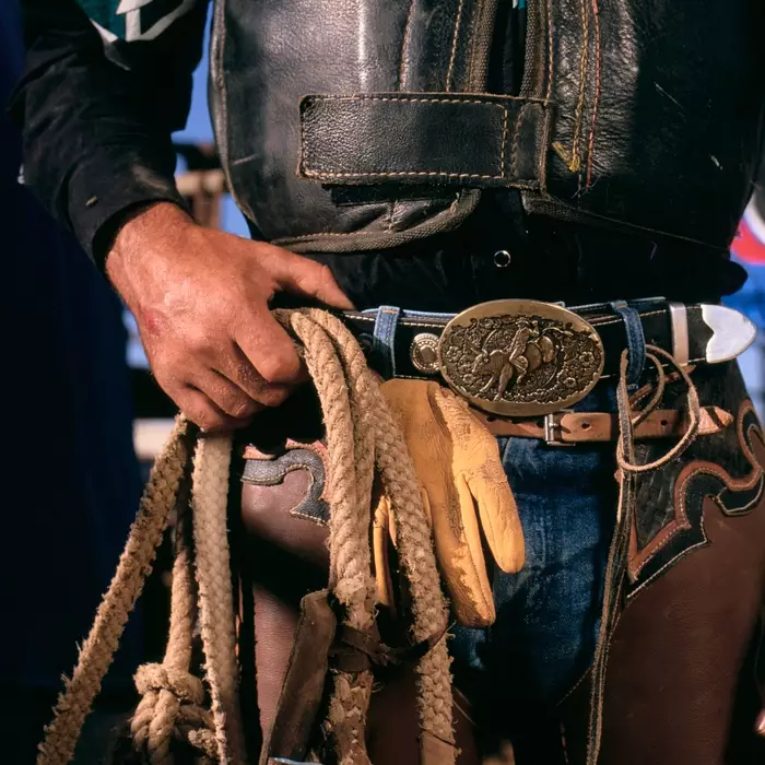 Rodeo Rider Ed. 1 of 10 by Peter Fisher