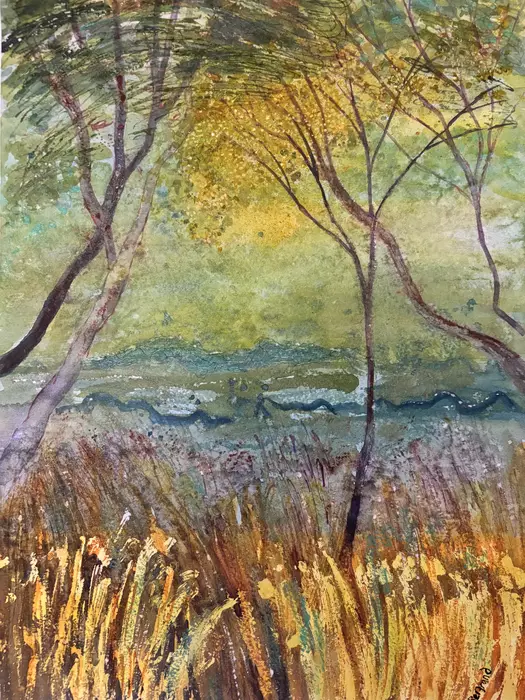 Spring Wattle Walk by Kath Bertrand