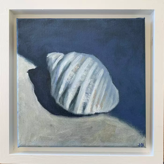 Rock Shell by Julie Hobbs