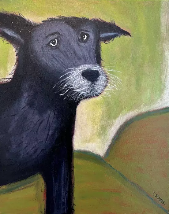 Charlie the Black Dog by Tracey Samios